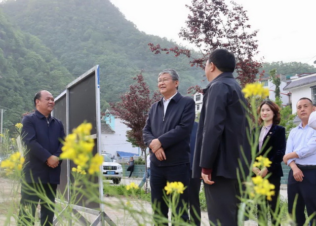 张柯兵在武都区调研乡村振兴产业发展等工作