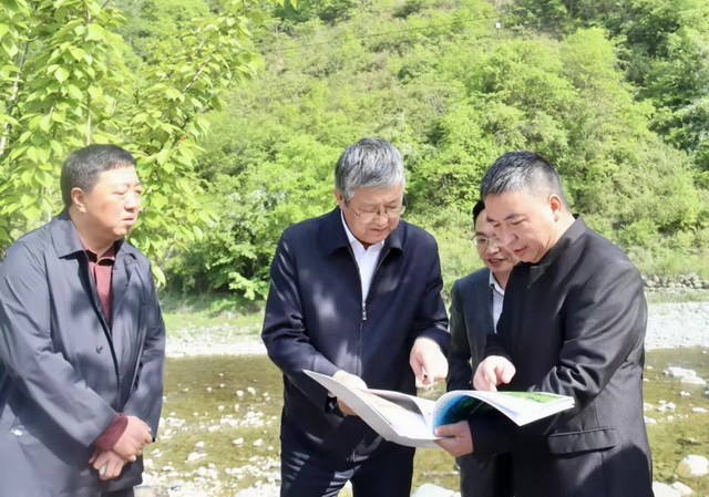 张柯兵在武都区调研乡村振兴产业发展等工作