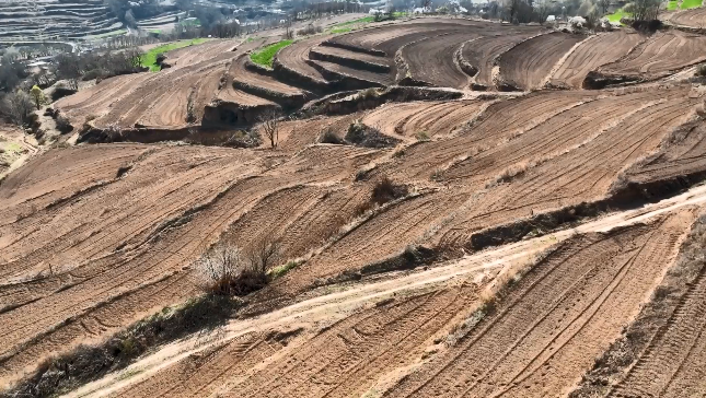 秦州区：捡起撂荒地 种下丰产粮