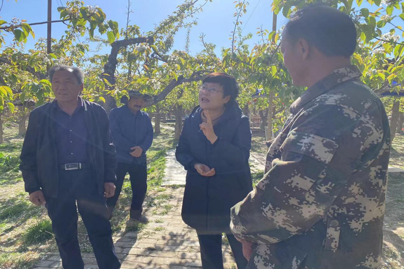 嘉峪关副市长王晋婷检查指导防灾减灾工作