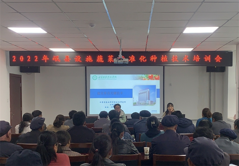 2022年岷县芸豆试验、设施蔬菜标准化种植技术培训会顺利召开