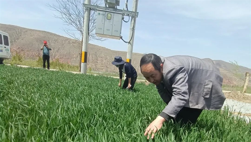 漳县:筹集防治物资 筑牢粮食安全