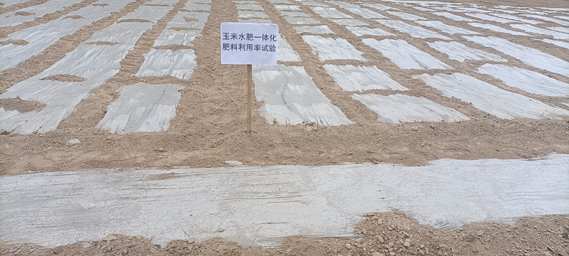 庆城县积极开展玉米水肥一体化技术试验研究