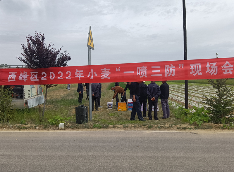 西峰区开展 “一喷三防”确保小麦丰收