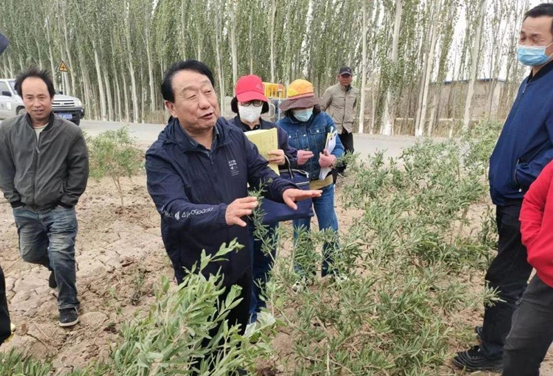瓜州：科技赋能助力枸杞产业提质增效