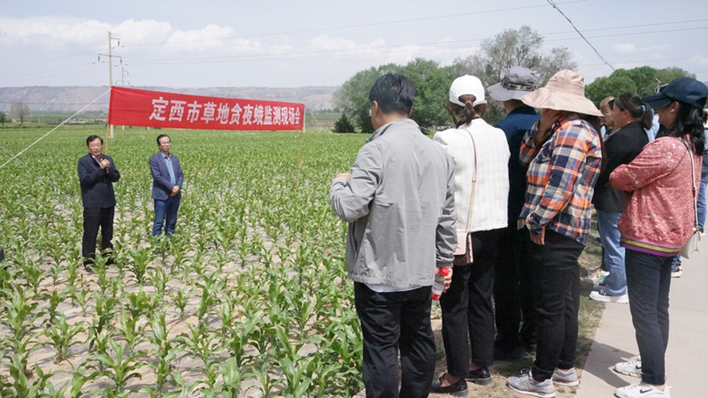 定西市小麦病虫害防控技术培训会在临洮县召开