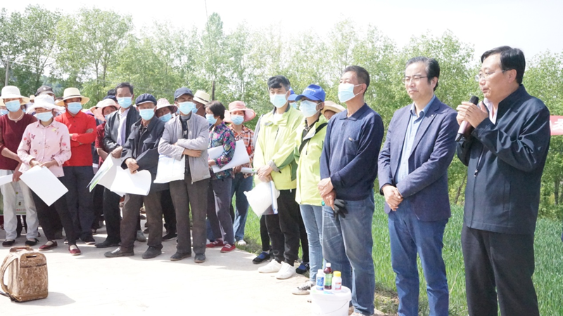定西市小麦病虫害防控技术培训会在临洮县召开