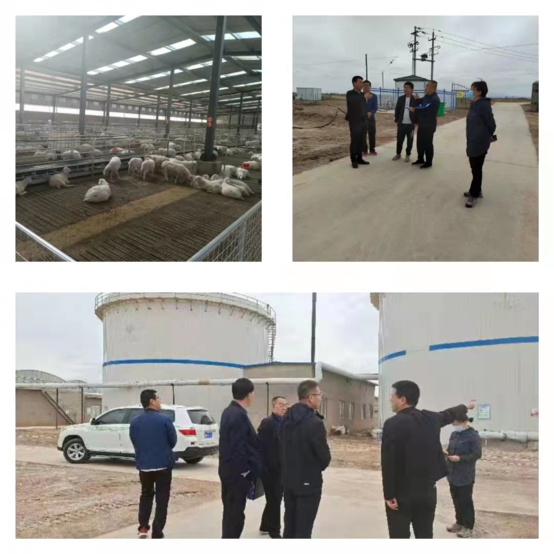 白银市畜牧兽医总站组织开展全市畜牧业安全生产大检查活动