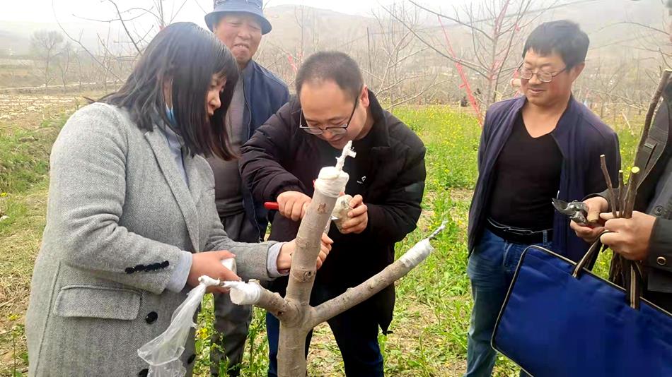 武山：小枝条承载大梦想