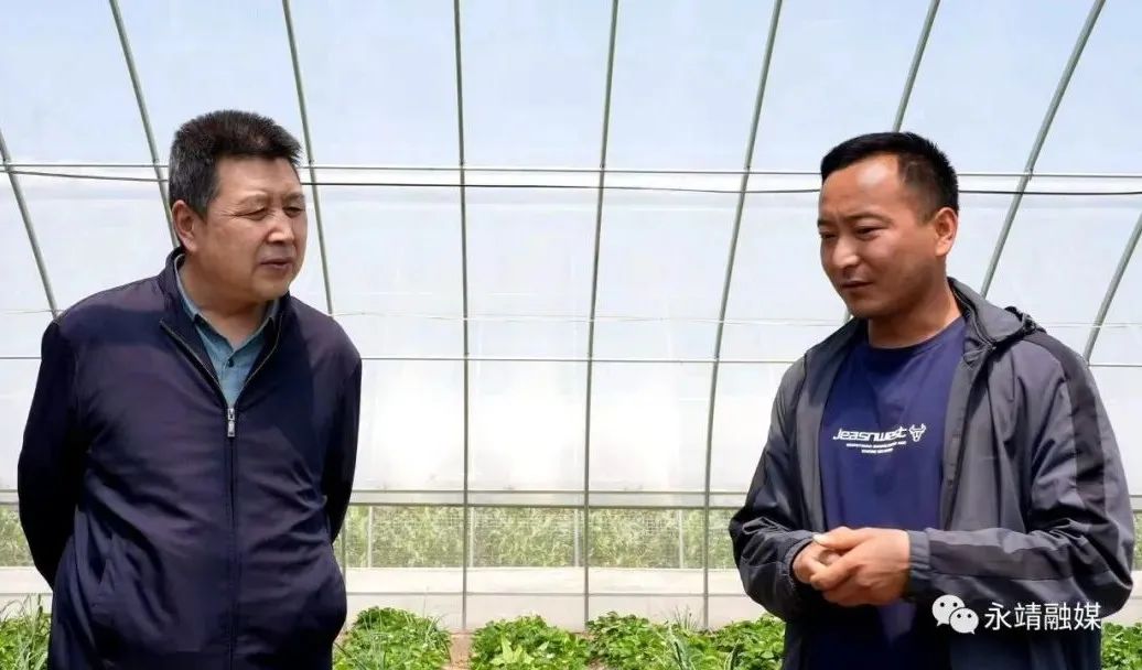 省乡村振兴局​副局长王小平调研永靖县巩固拓展脱贫攻坚成果同乡村振兴有效衔接工作