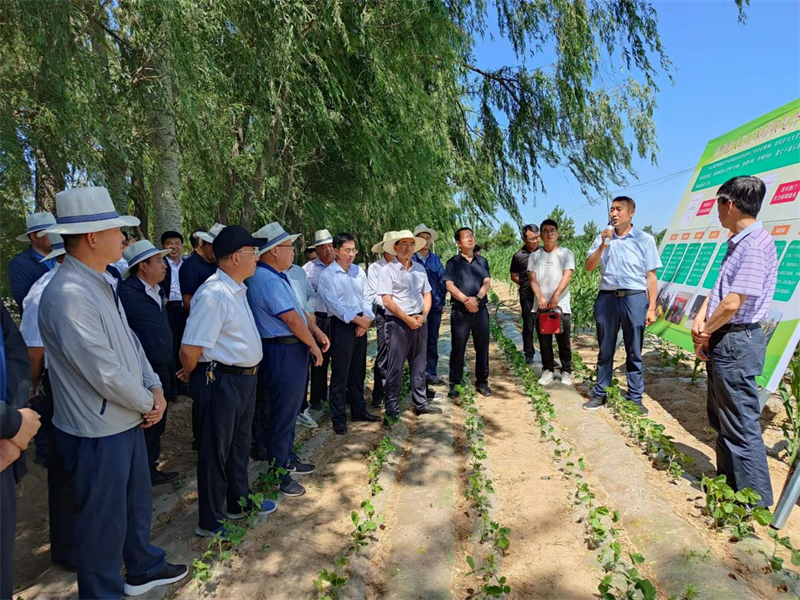 全省小麦绿色高效生产暨农技推广抓点示范观摩团在泾川县观摩