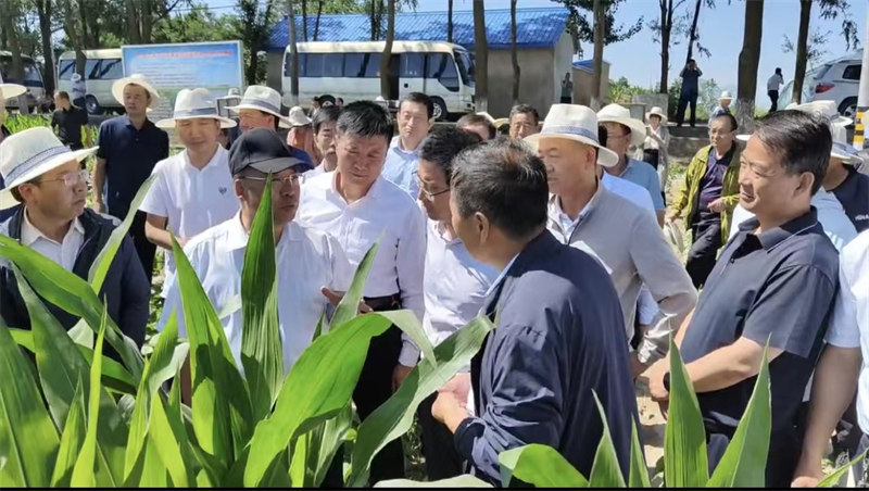 全省小麦绿色高效生产暨农技推广抓点示范观摩团在泾川县观摩