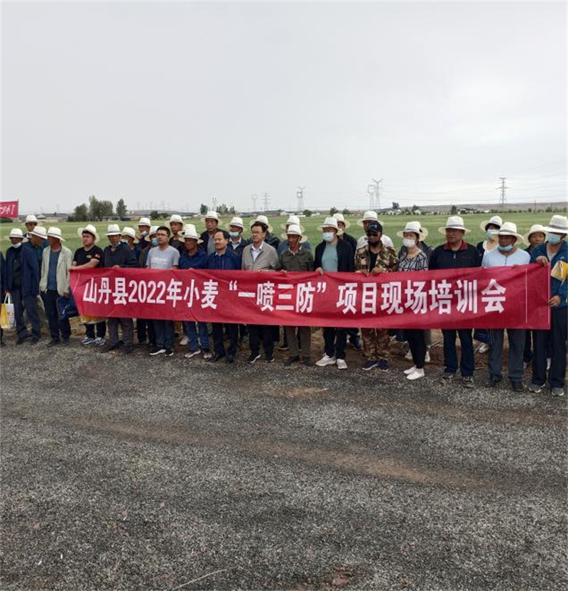山丹县开展小麦“一喷三防”作业确保粮食丰产丰收