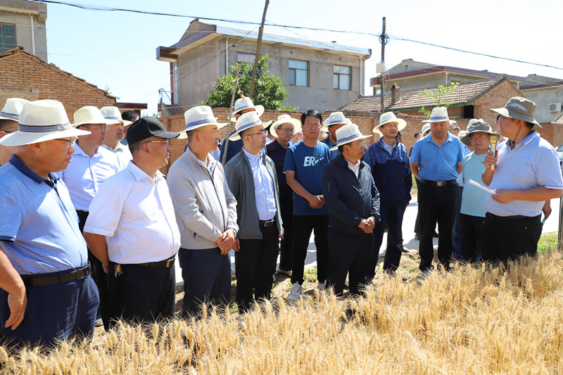 灵台县2022年基层农技推广体系建设项目确定五大目标