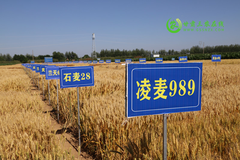灵台县2022年基层农技推广体系建设项目确定五大目标