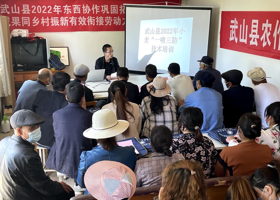 武山多措并举开展小麦“一喷三防” 全力保障夏粮稳产增收