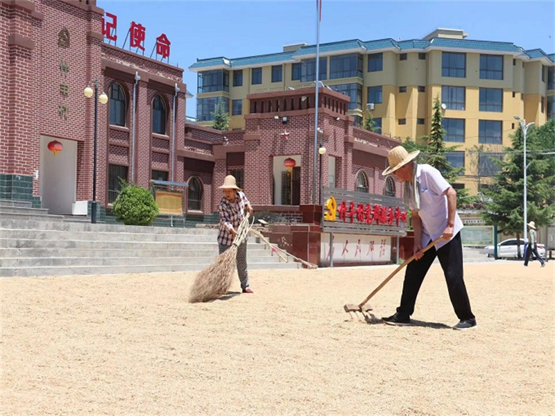 西峰区：丰收路上的“新麦客”