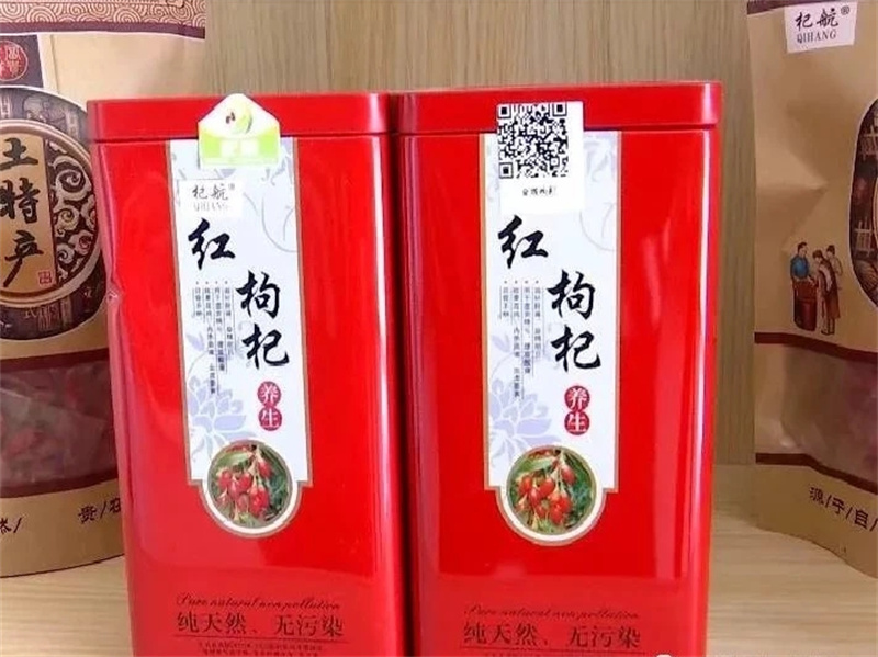 酒泉市金塔县：致富枸杞别样红