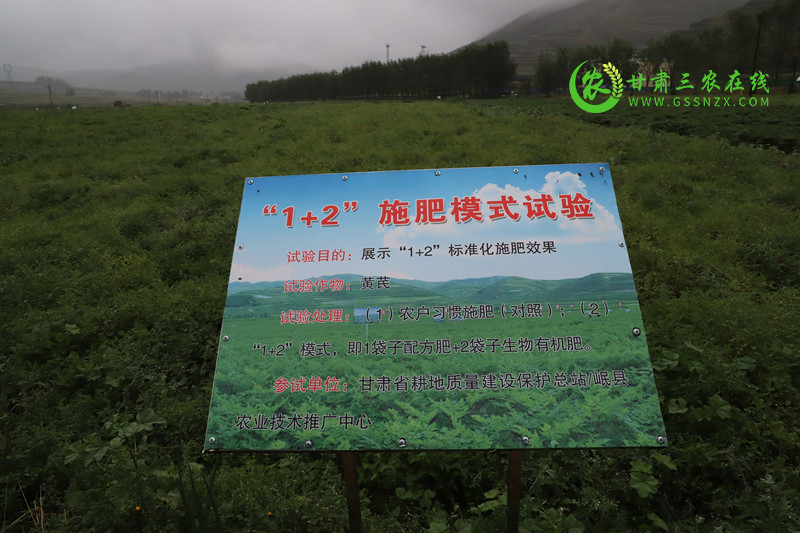 岷县在当归黄芪党参三大中药材上打造减肥示范带