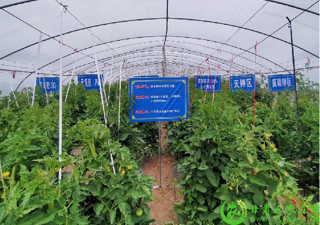庄浪县绿色种养循环农业社会生态经济效益显著