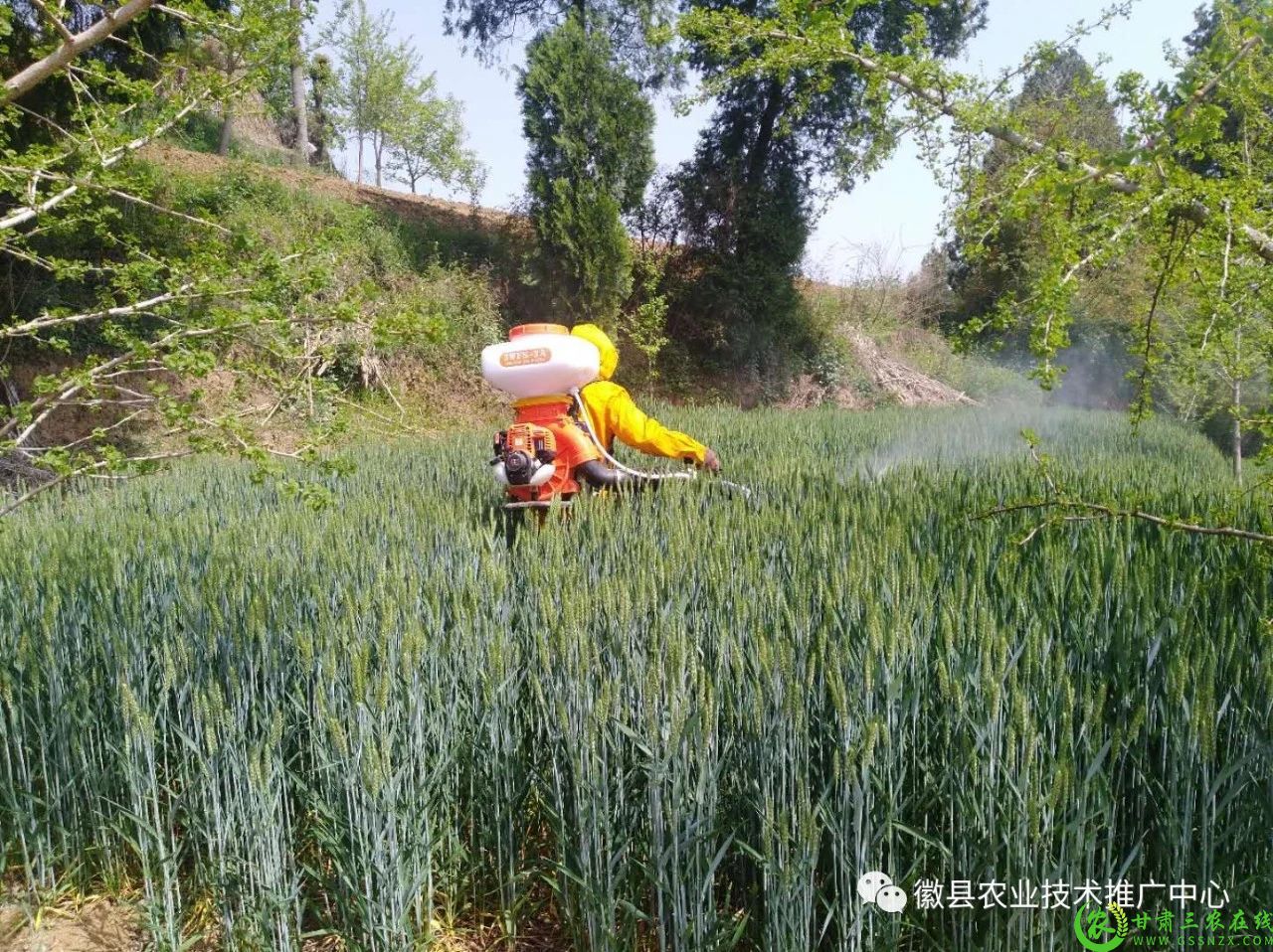 微信图片_20220909100831.jpg