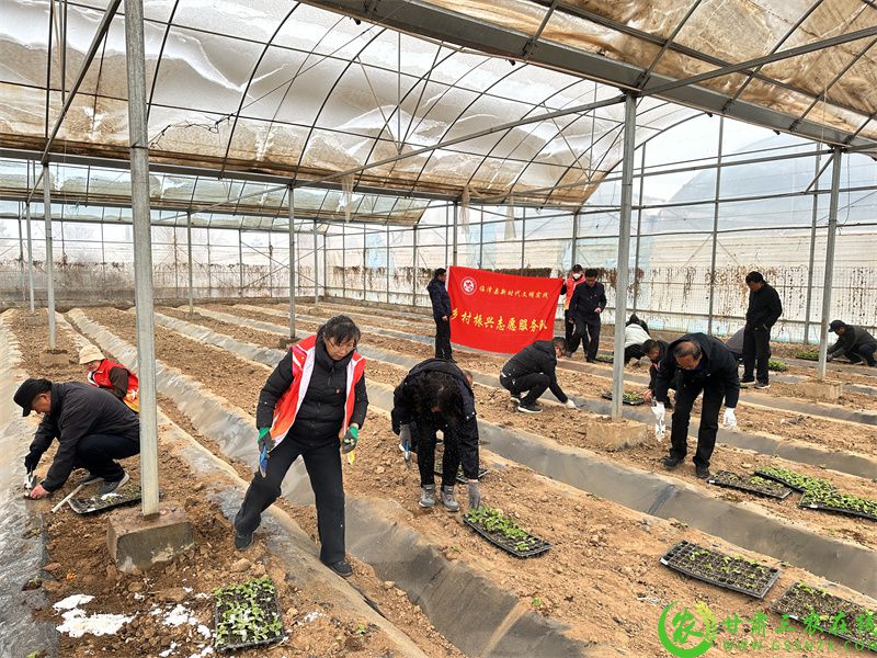 微信图片_20230404151314.jpg