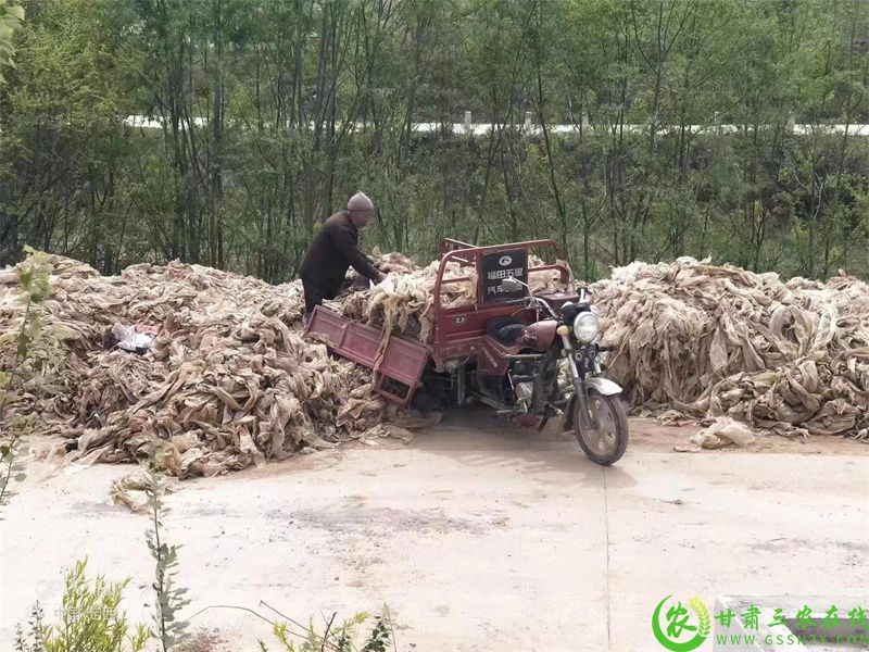 漳县废旧地膜统一装车交售加工厂.jpg