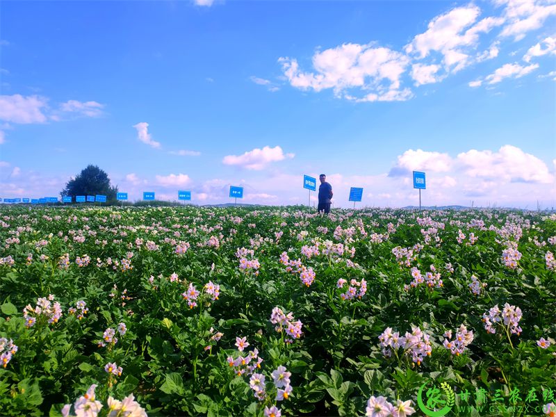 庄浪县农业综合试验示范基地 (5).jpg