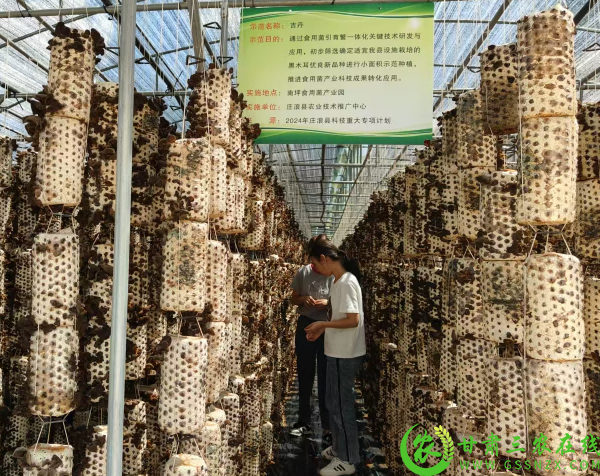 图片14(1).png