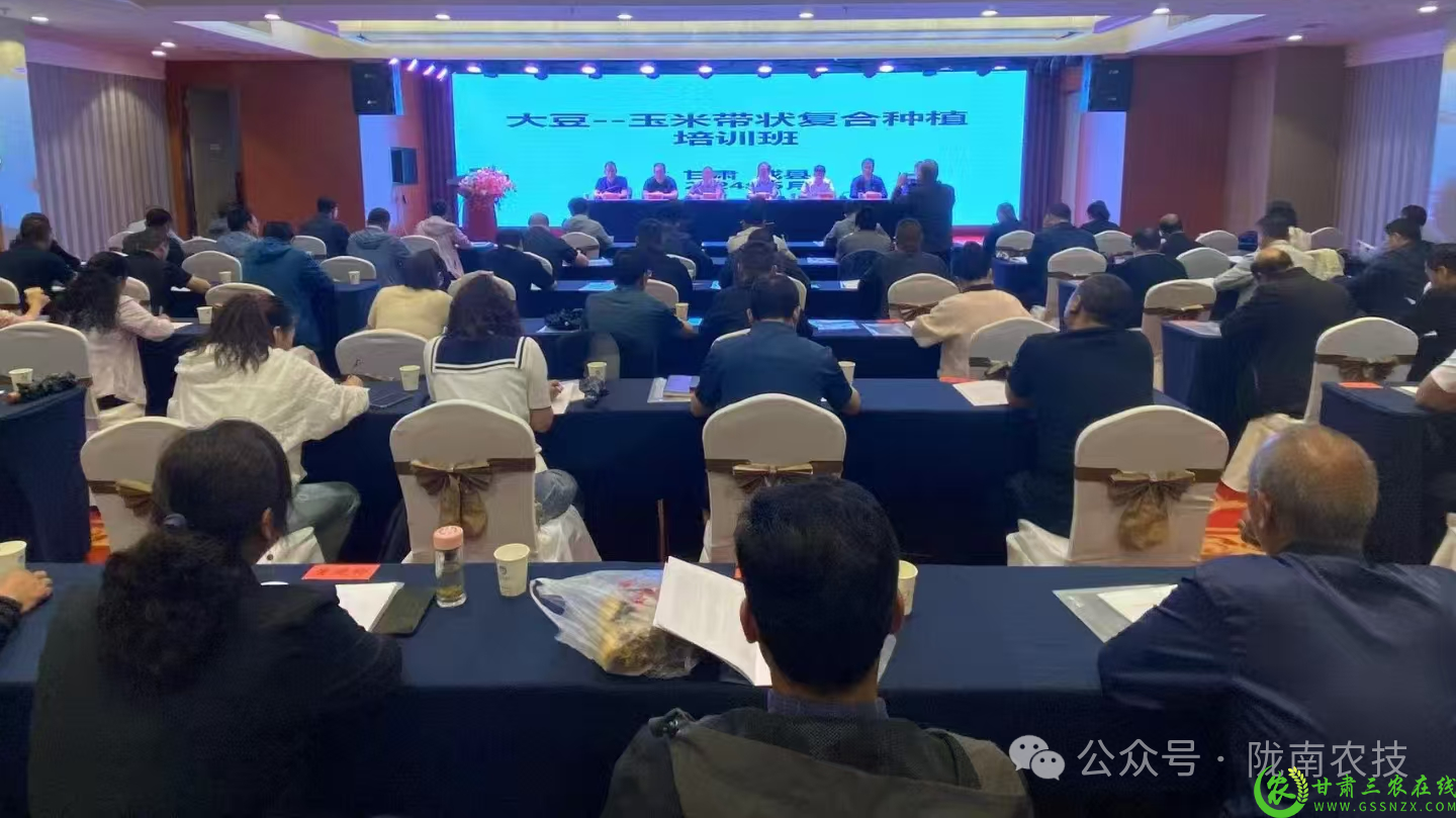 微信图片_20241230140701.png