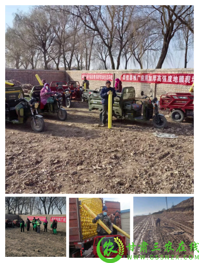 图片3(1).png