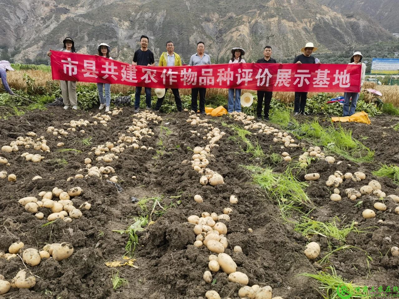 微信图片_20250107105321.jpg