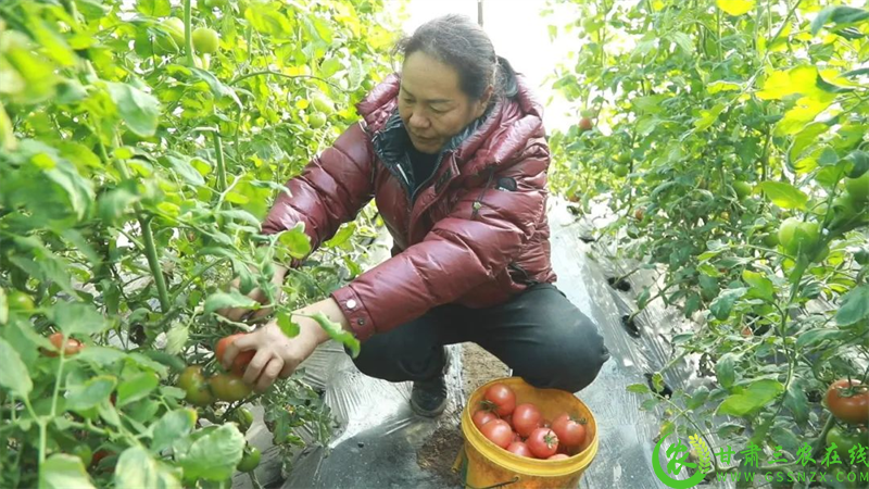 微信图片_20250207173722.png