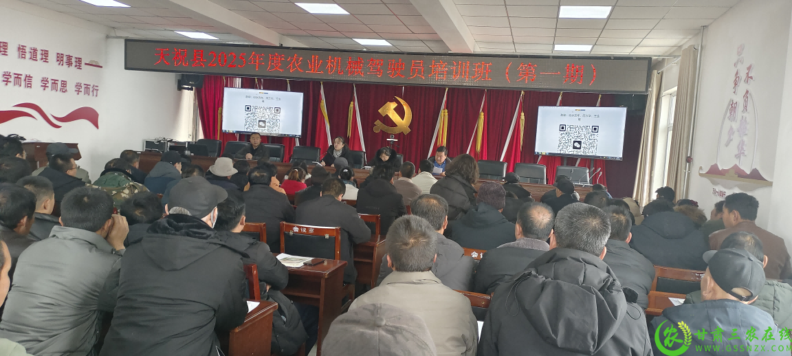 图片3(1).png