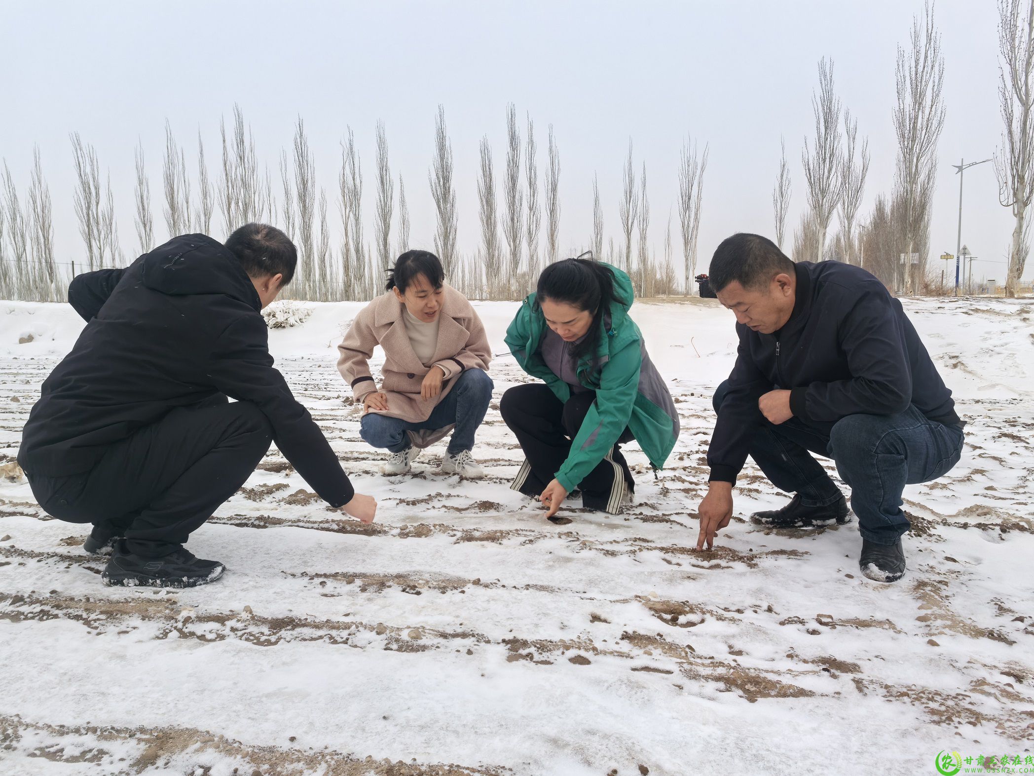 农技人员指导农户如何科学应对降温、降雪后的农业生产.jpg