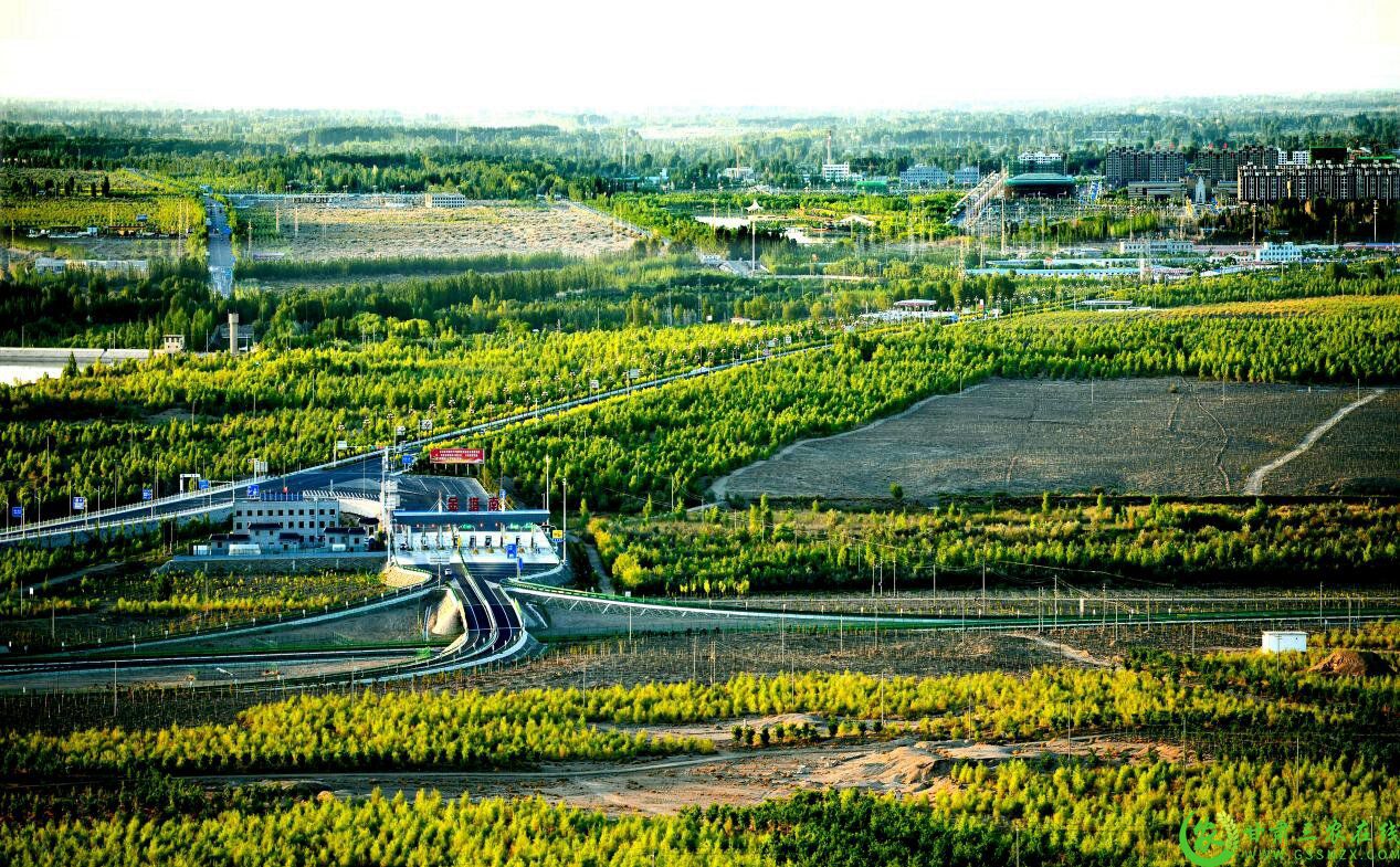 4.如今的金塔，只见绿树成林，不见往日风沙.jpg