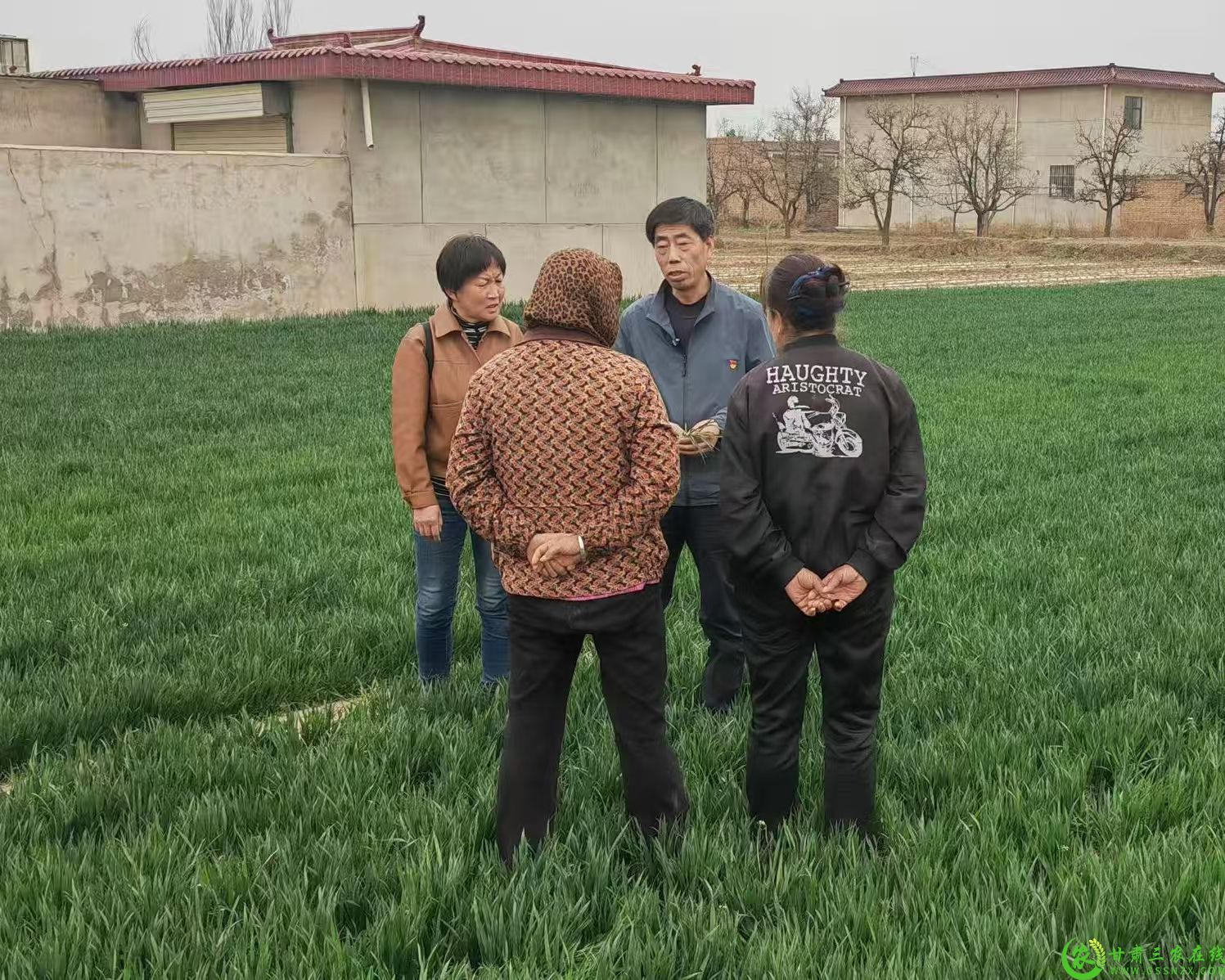 微信图片_20250421104208.jpg