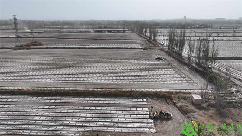 连日来，瓜州县抢抓气温回升、土壤墒情良好的有利时机，全力推进20万亩机采棉播种作业.jpg