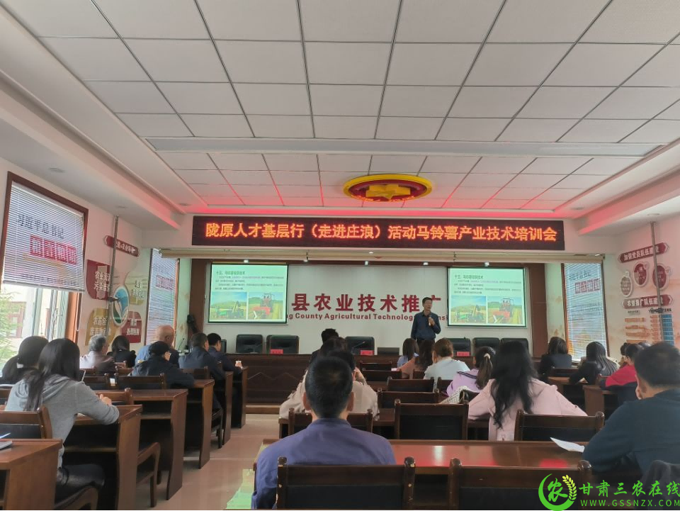 图片1(1).png