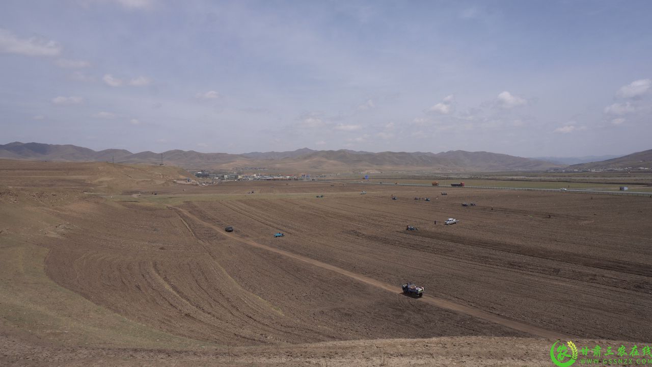 C1283T01.JPG