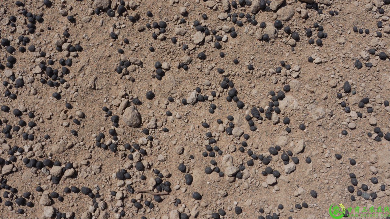 C8914T01.JPG