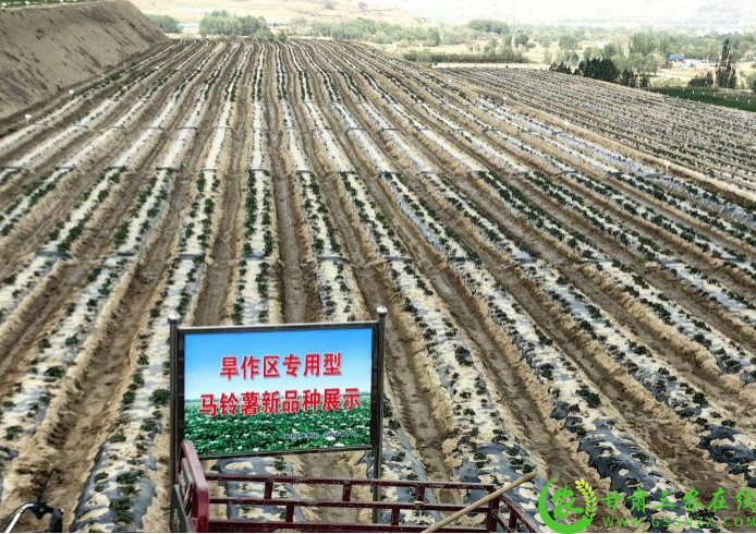 图片1(1).png