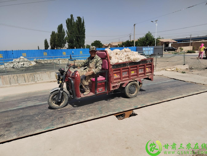 图片10.png