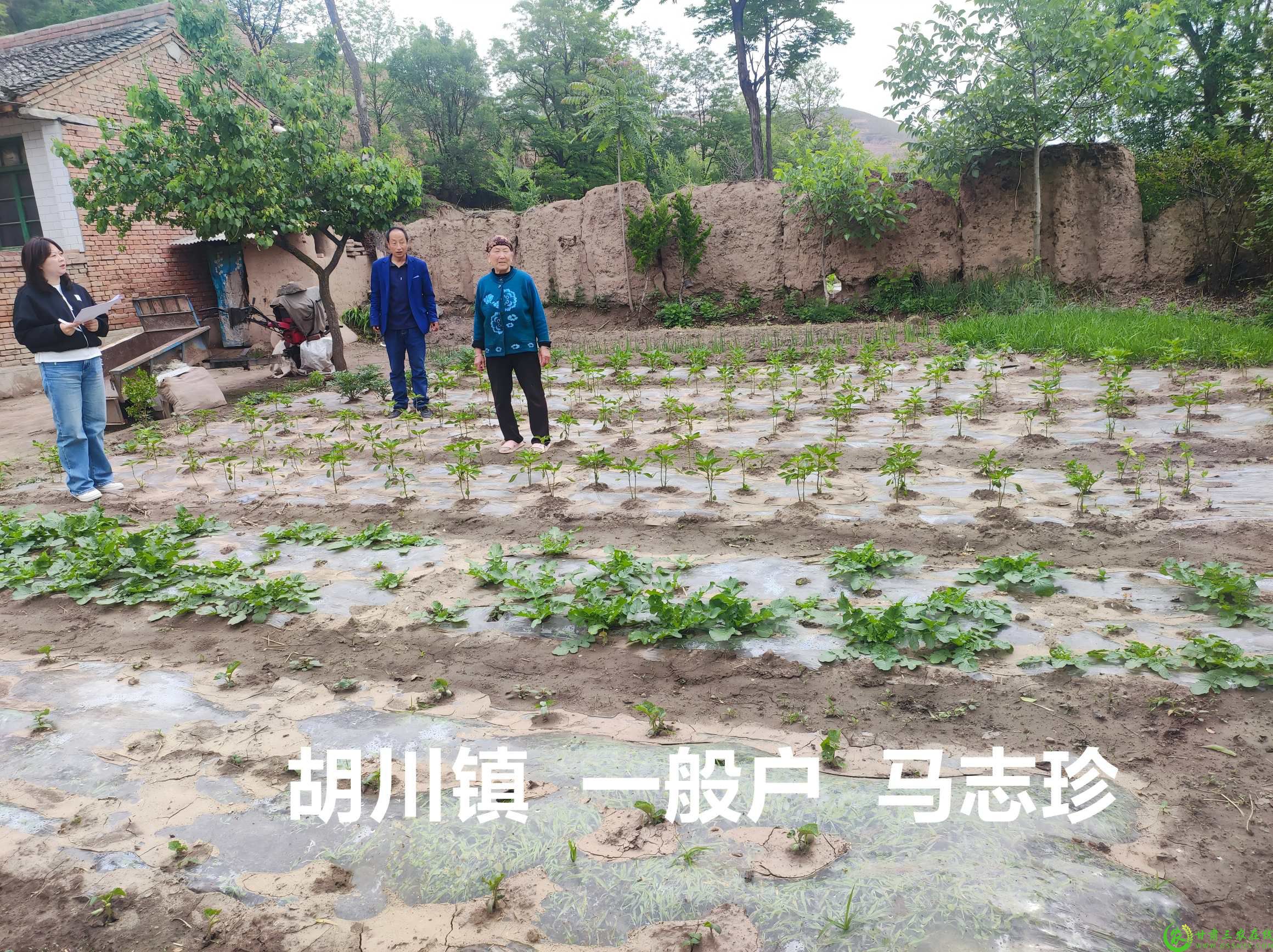 微信图片_20250604083747(1).jpg