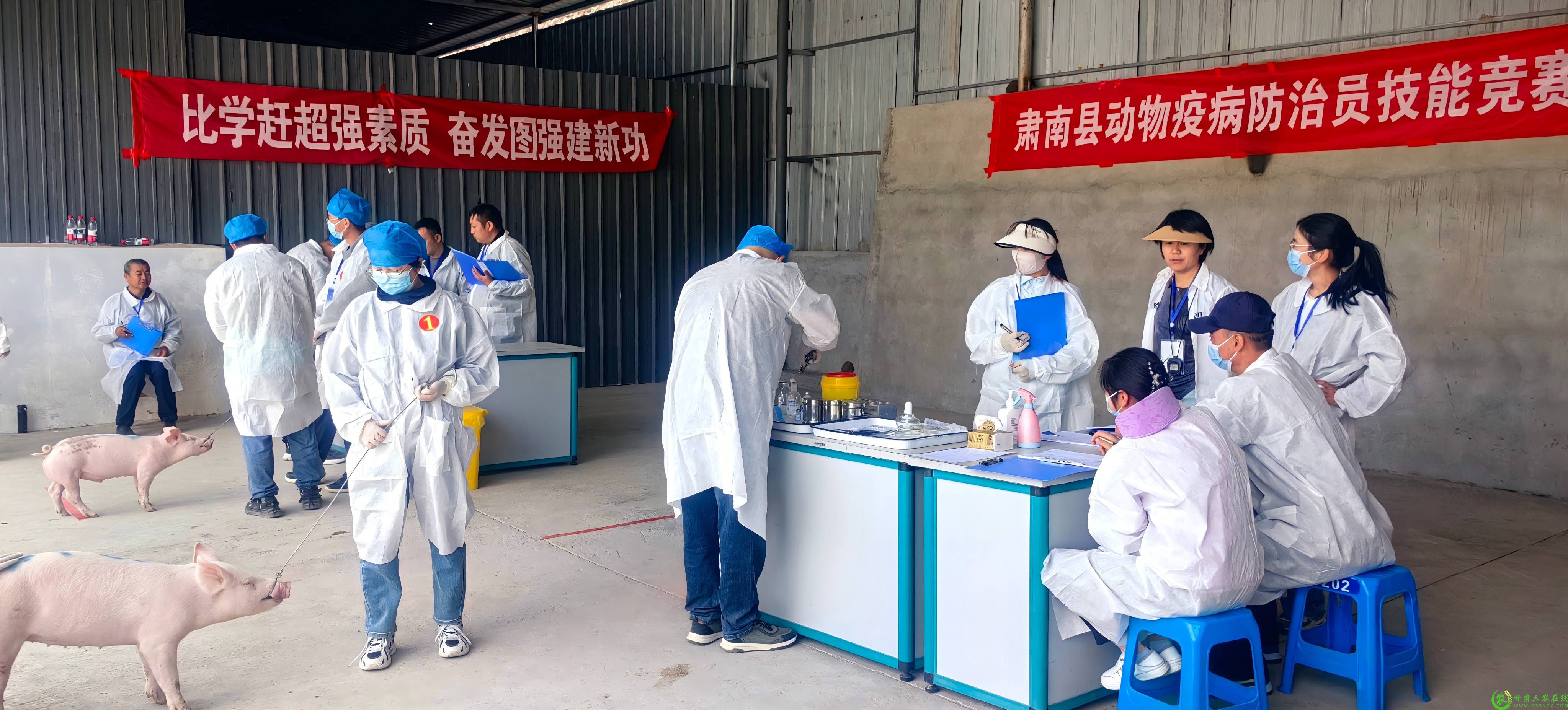 开展技能比武 推动队伍建设(1).jpg