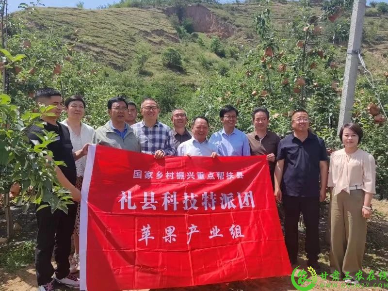 微信图片_20250611191222.jpg