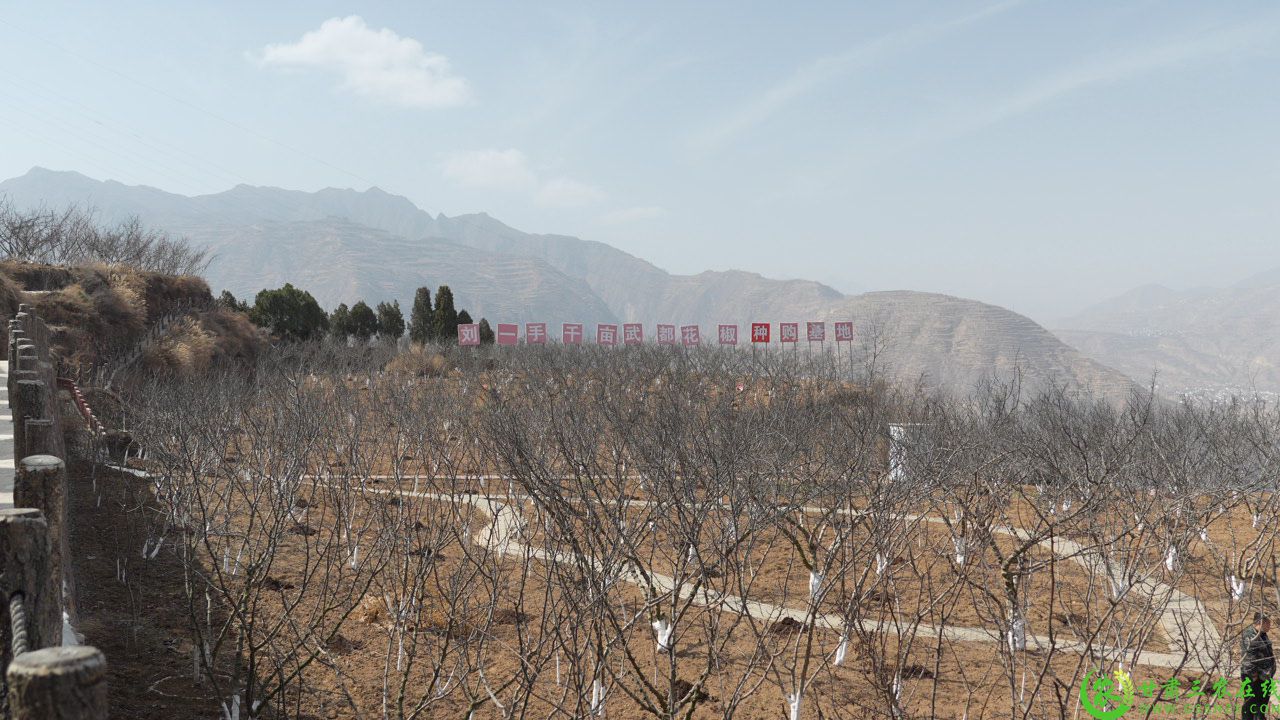 C7682T01.JPG