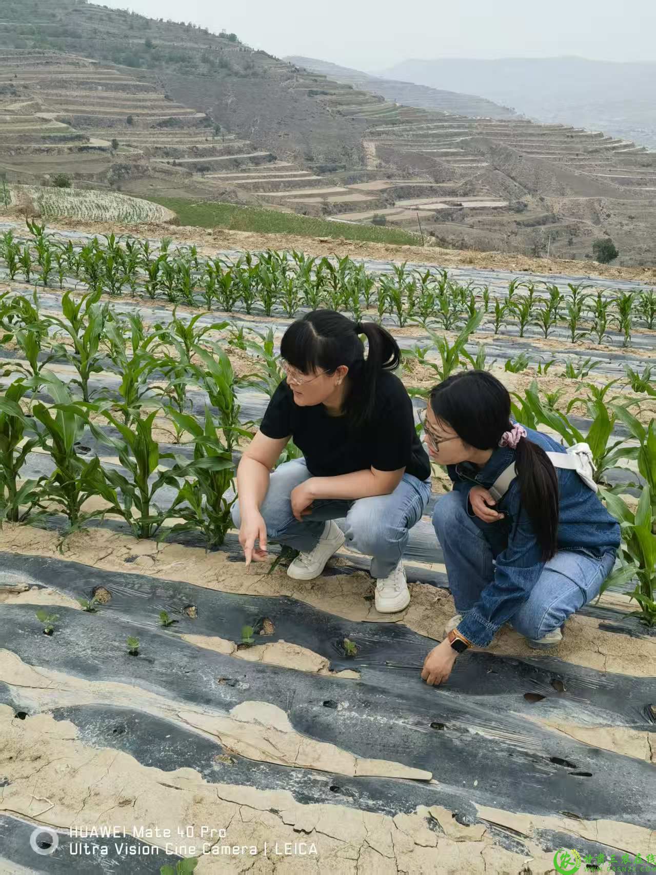 微信图片_20250625220105.jpg