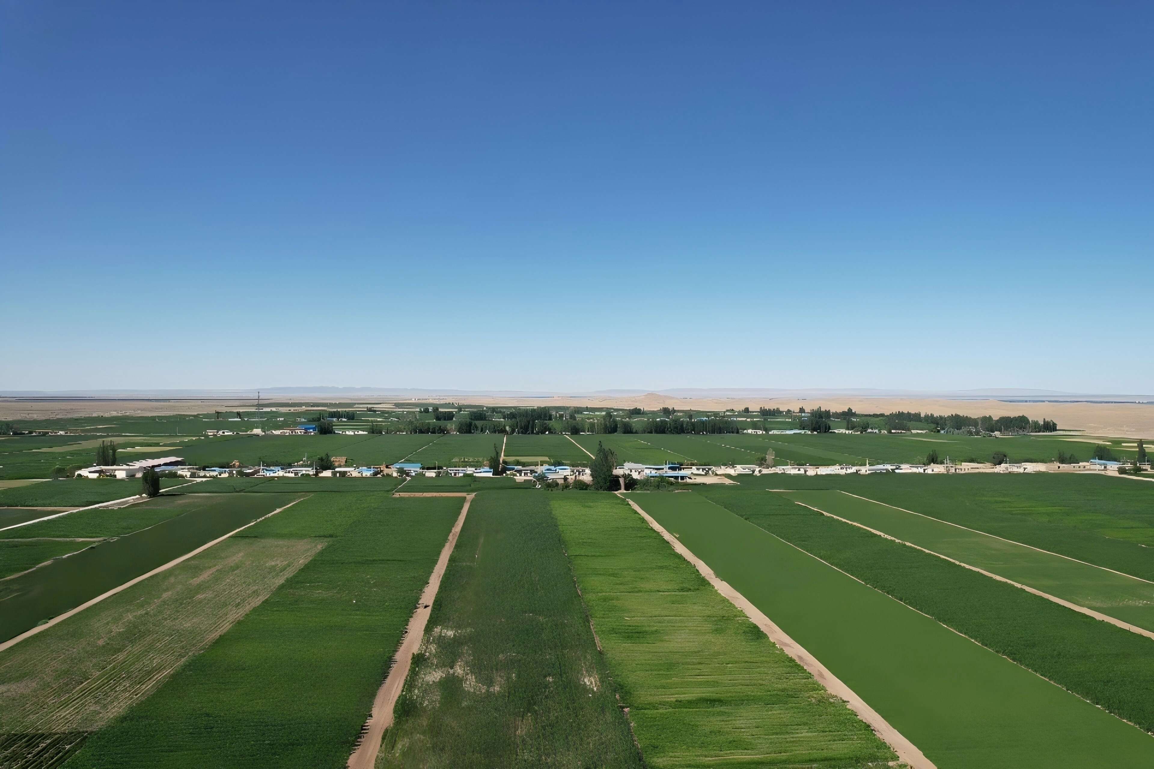 DJI_0508(1).jpg