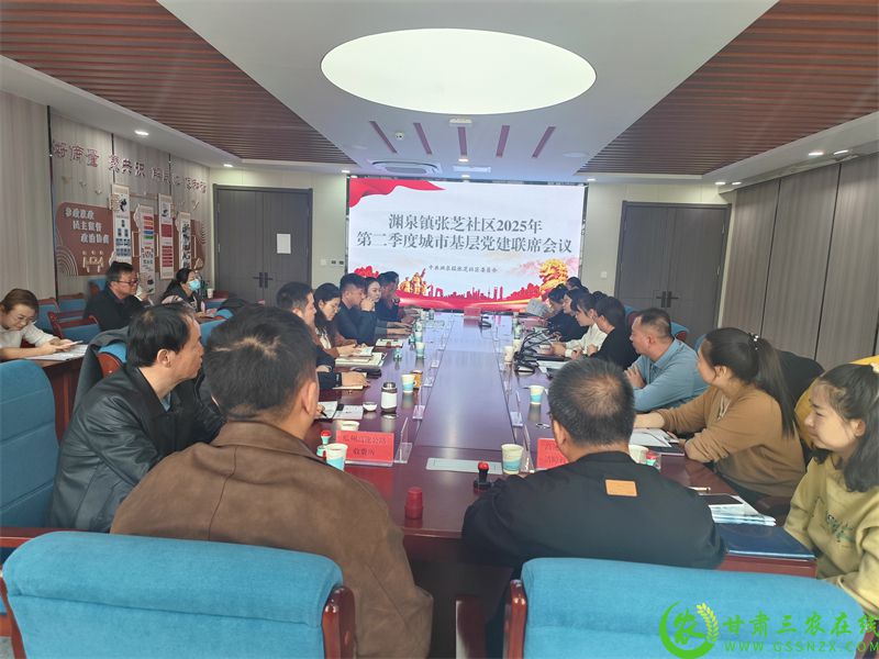 基层党建联席会议.jpg
